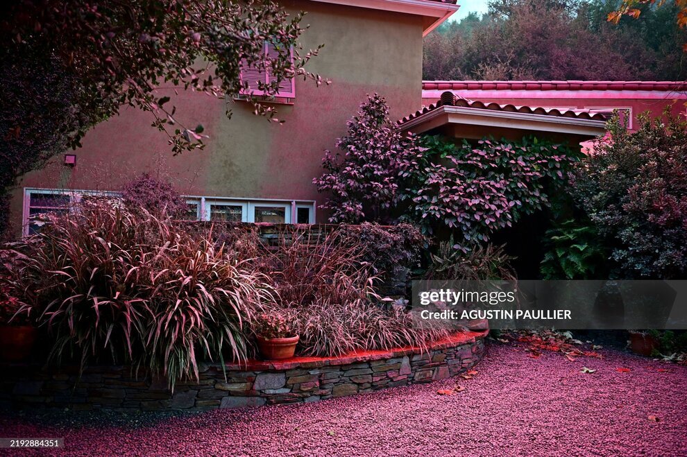 صورتی و قرمز شدن بخشی از لس آنجلس در پی خاموش کردن آتش | تصاویر