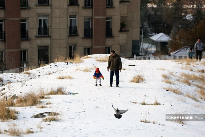 یک روز برفی در تهران