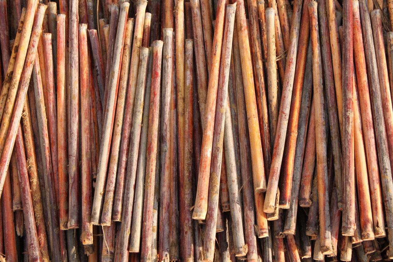 مرغوب ترین قلم دنیا اینجا تولید می شود + فیلم