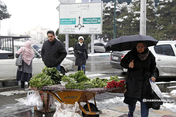 ادامه بارش برف در تهران| تصاویر