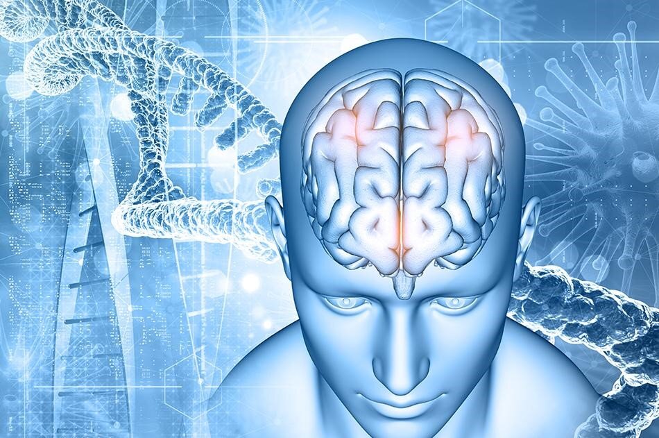 تقویت حافظه