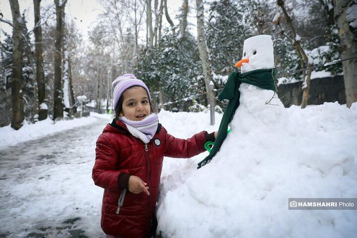 جشن آدم برفی ها در تهران