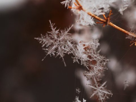 ۱۲ واقعیت شگفتانگیز درباره برف! | تصاویر