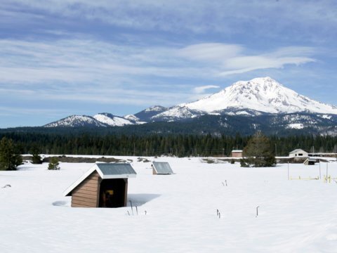 ۱۲ واقعیت شگفتانگیز درباره برف! | تصاویر