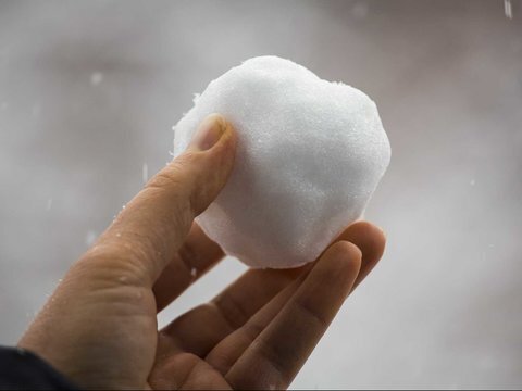 ۱۲ واقعیت شگفتانگیز درباره برف! | تصاویر