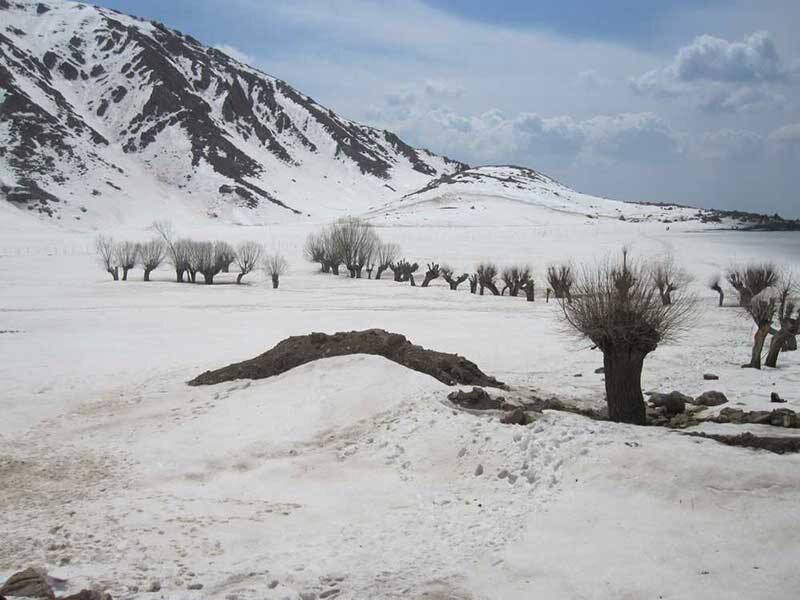 پاتوق‌های برف بازان تهران اینجاست | تفرجگاه های نزدیک تهران برای سفر یک روزه زمستانی