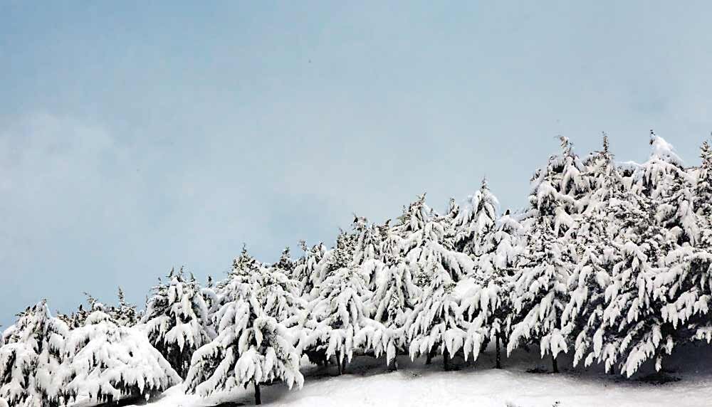 پاتوقهای برف بازان تهران اینجاست | تفرجگاه های نزدیک تهران برای سفر یک روزه زمستانی زمستان