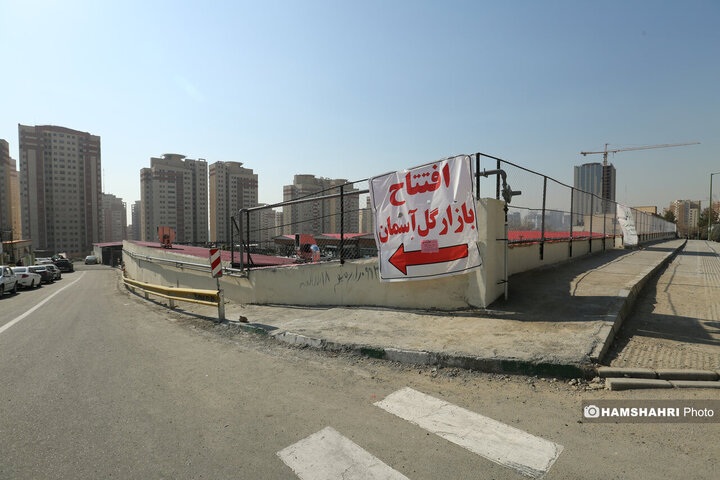راه اندازی بازار گل آسمان در غرب پایتخت