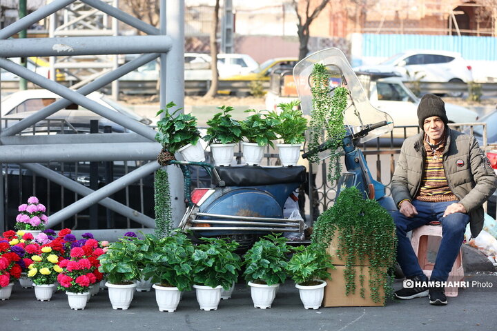 بازار خرید نوروزی عبدل آباد و بازارچه احسانی