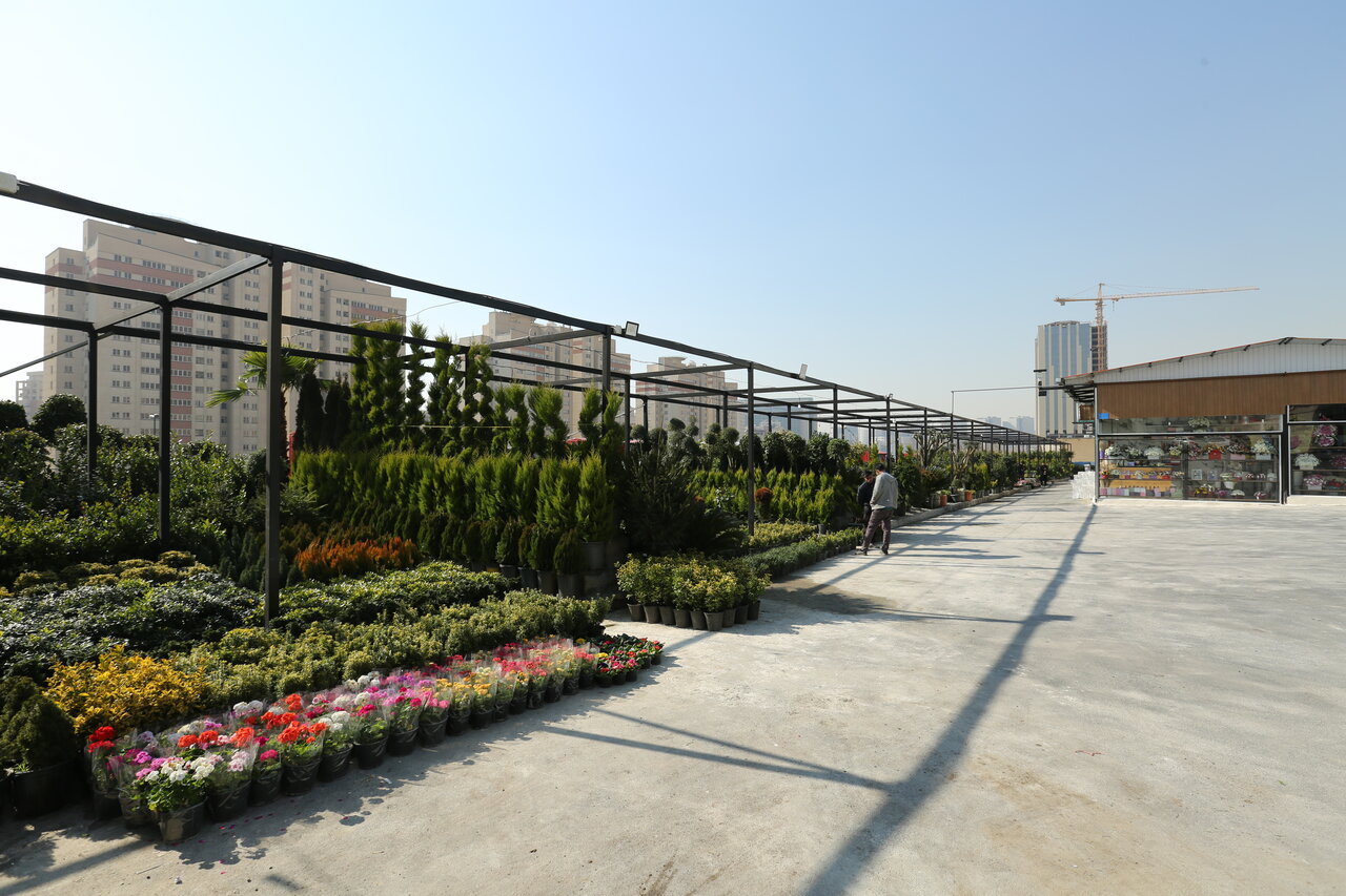 درهای آسمان به روی تهران باز می شود