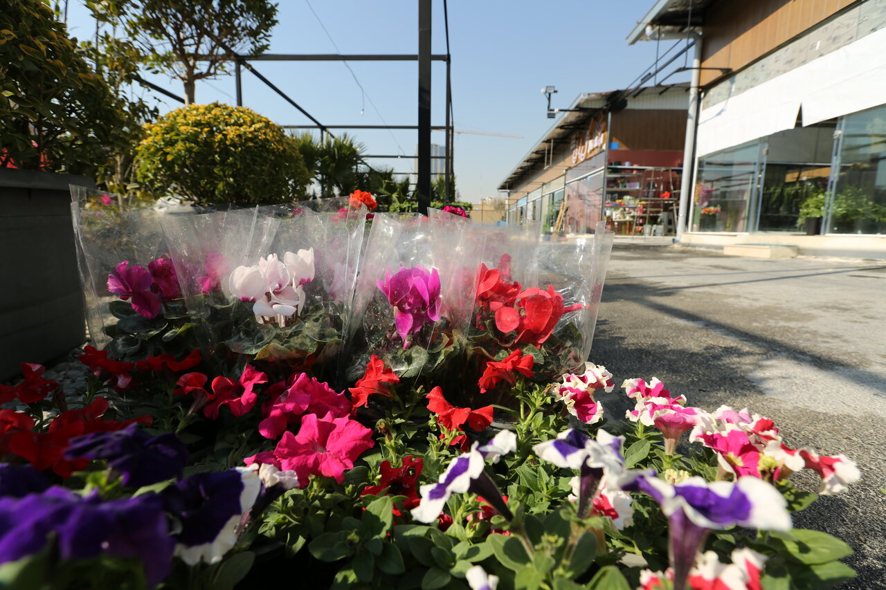 بازار گل آسمان