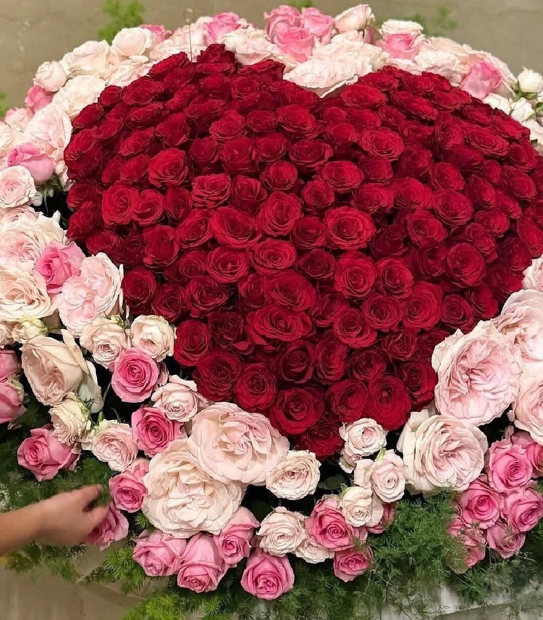 کادوهای تولد جورجینا همسر ۳۱ ساله کریستیانو رونالدو