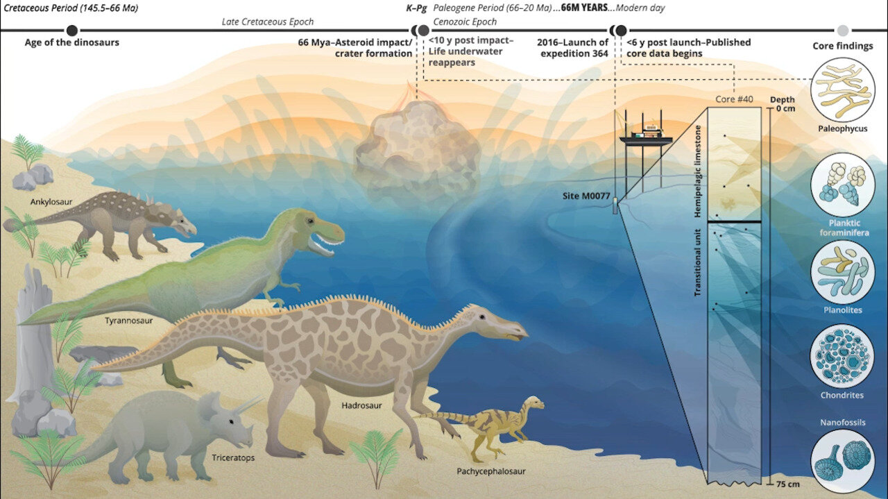 این شهابسنگ ۶۶ میلیون سال پیش باعث انقراض دایناسورها شد