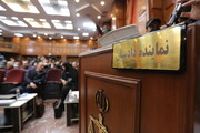 چهره های متنفذی که بی اغماض مجازات شدند | ماجرای 13 پرونده جنجالی دانه درشت ها چه بود؟