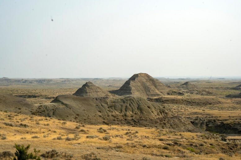 سرنخهایی از زندگی در پایان عصر دایناسورها