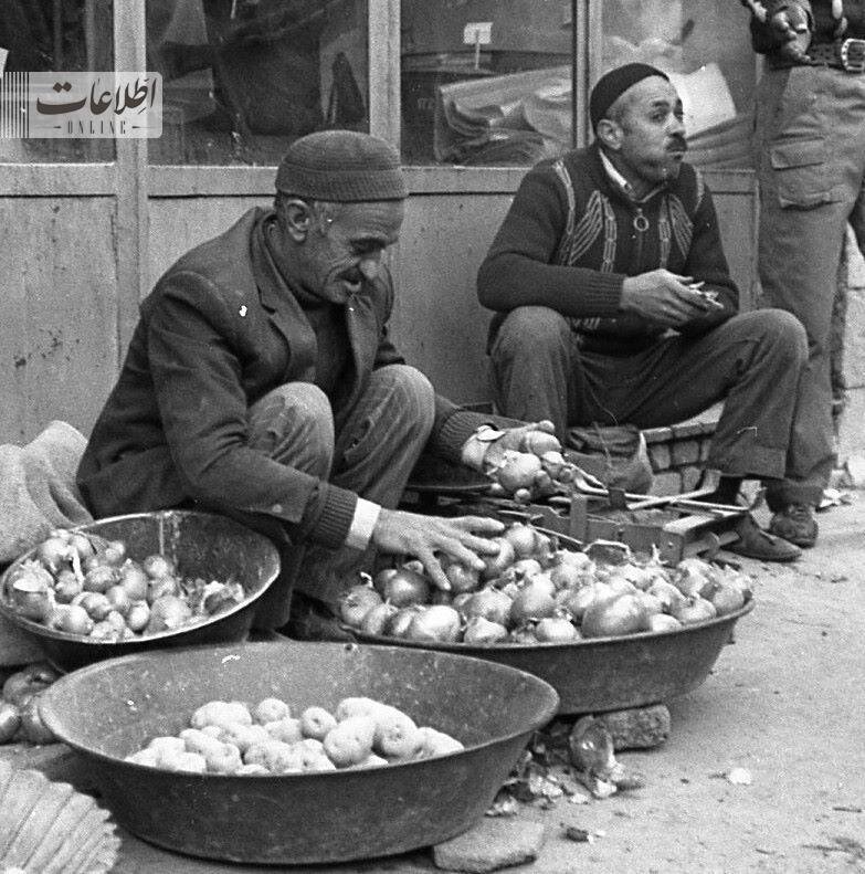 تهرانیها چه زمانی برای اولین بار سیبزمینی خوردند؟