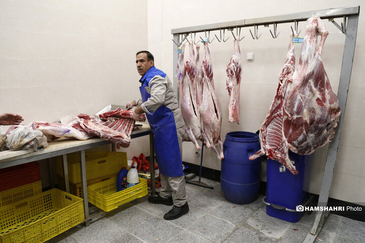 افتتاح بازار میوه وتره بار ریحانه