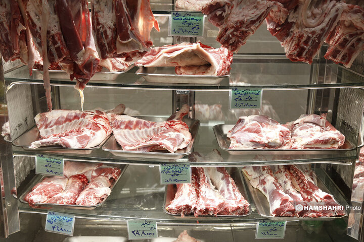 افتتاح بازار میوه وتره بار ریحانه