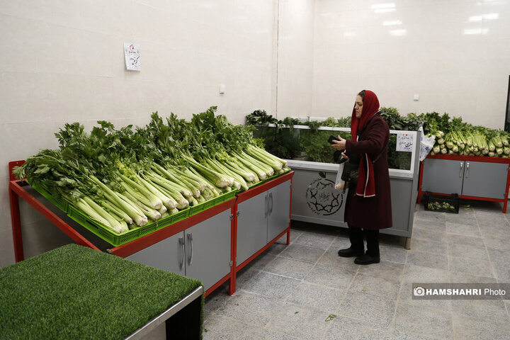 افتتاح بازار میوه وتره بار ریحانه