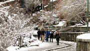 زیبایی‌های بارش برف در گنجنامه همدان + فیلم ؛ آبشار یخ و برف و آب!