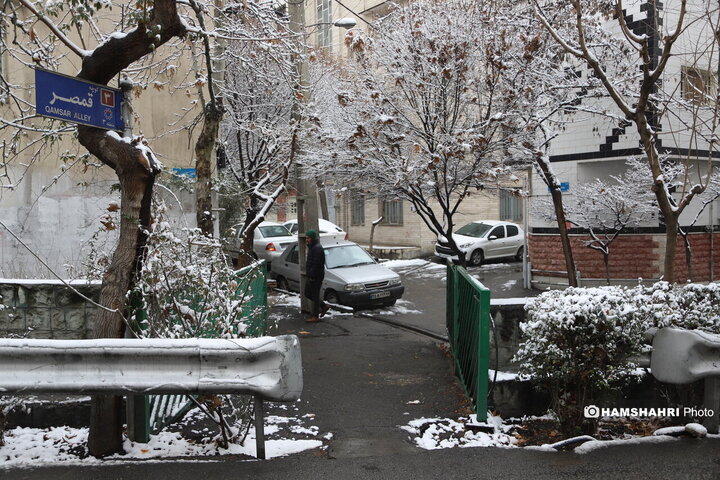 روز برفی تهران