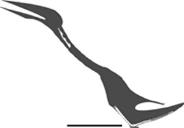 گونهای جدید از خزندگان پرنده منقرضشده در رومانی | کشف فسیلهای ۶۸ میلیون ساله