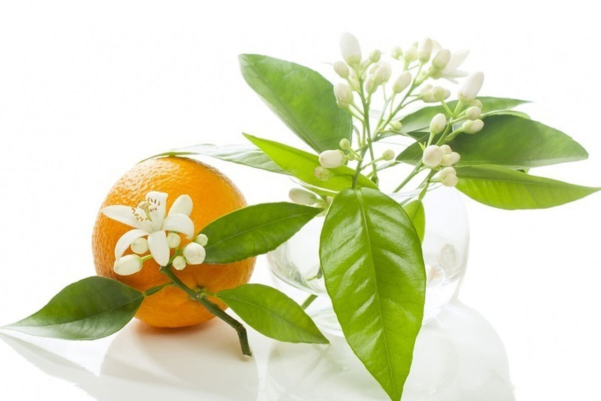 میوهای با هزار و یک خاصیت که قند خون را هم کاهش میدهد