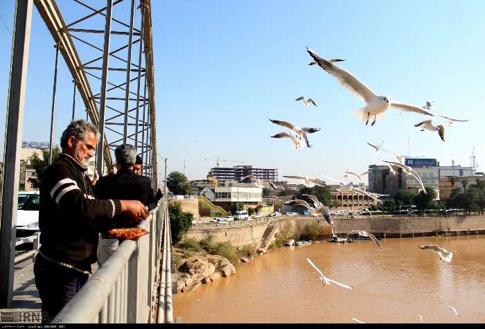 ایران زمستانی؛ مقصدی برای عاشقان برف بازی و اسکی