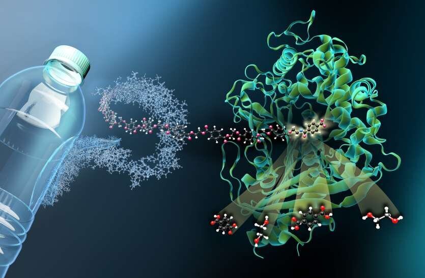کشف آنزیمی که پلاستیک‌ها را می‌بلعد