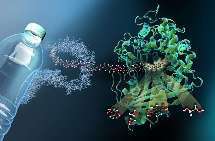 کشف آنزیمی که پلاستیکها را میبلعد