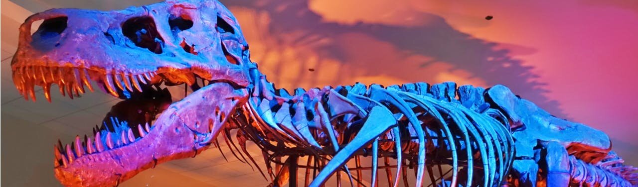 راز تخم فسیلشده ۷۰ میلیونساله | جنینی که هرگز متولد نشد!