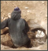 قاتل اجارهای یک معلم جوان بود | التماسها فایده نداشت ، گردنش را بریدیم + عکس