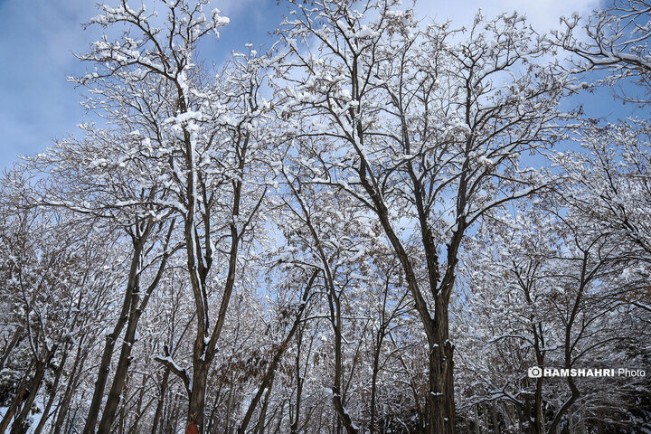 جشنواره آدم برفی در شهرستان اهر