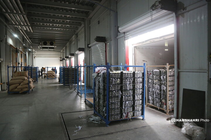 بازدید از سردخانه زنجیره ی تامین میوه های نوروز