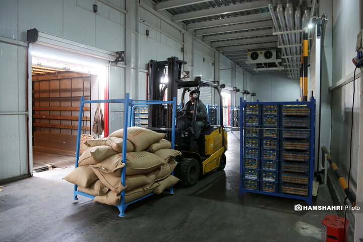 بازدید از سردخانه زنجیره ی تامین میوه های نوروز