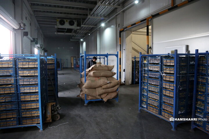 بازدید از سردخانه زنجیره ی تامین میوه های نوروز