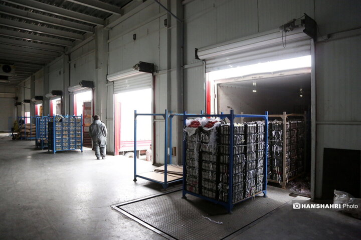 بازدید از سردخانه زنجیره ی تامین میوه های نوروز