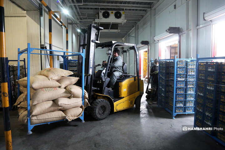 بازدید از سردخانه زنجیره ی تامین میوه های نوروز