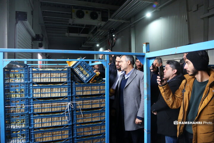 بازدید از سردخانه زنجیره ی تامین میوه های نوروز