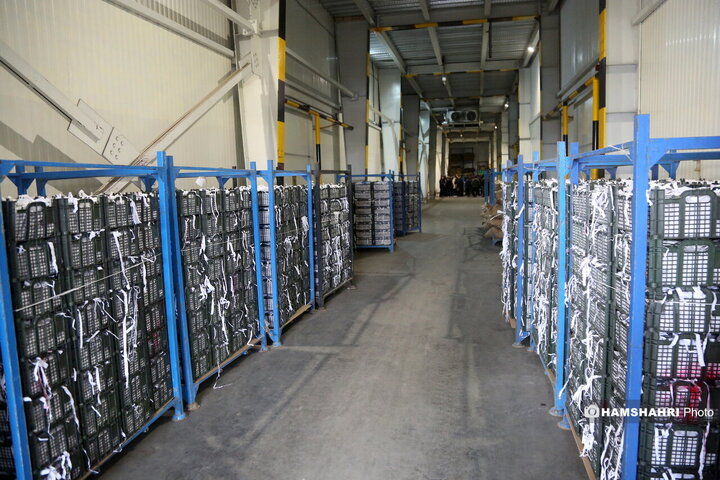 بازدید از سردخانه زنجیره ی تامین میوه های نوروز