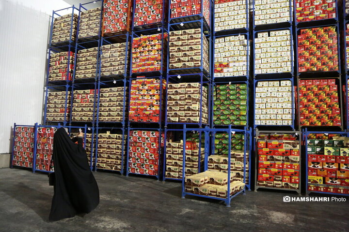 بازدید از سردخانه زنجیره ی تامین میوه های نوروز