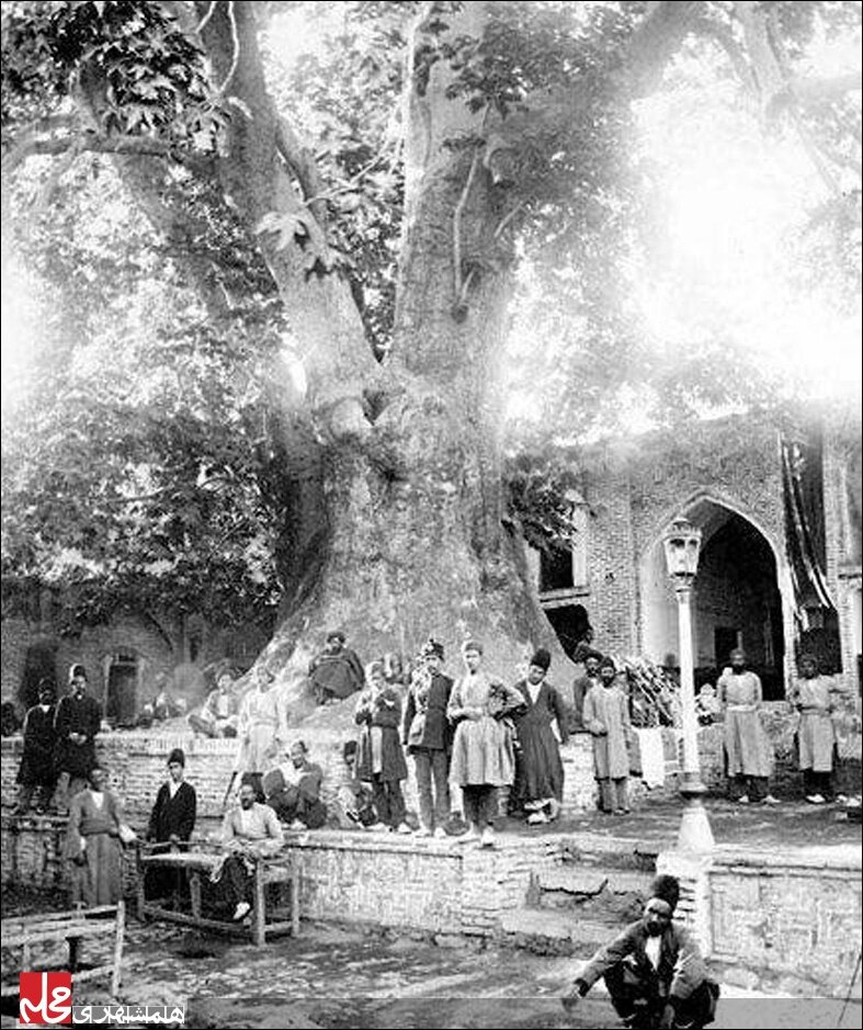 تصویری بسیار قدیمی از امامزاده صالح(ع) | کهنسالترین چنار شمیران به روایت سیاحان خارجی