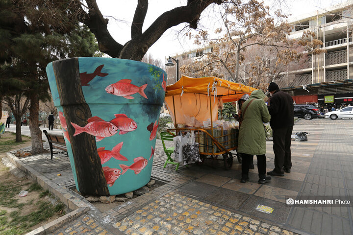 جشنواره گلدان های نوروزی