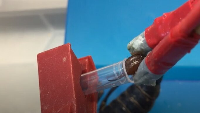 گرانقیمتترین مایع جهان را بشناسید