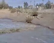 تصاویر حجم آب ورودی به ایران از افغانستان + فیلم