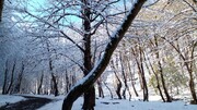 بارش برف بهاری در آنکارا ترکیه!