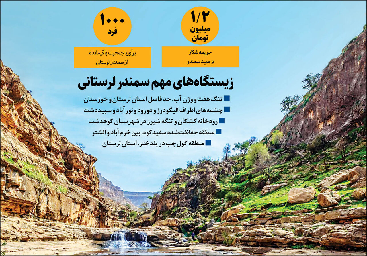 ورود به قلمروی سمندر ممنوع شد | تلاش آلمان برای نجات گونه در حال انقراض ایران | کمتر از هزار سمندر در لرستان باقیمانده است