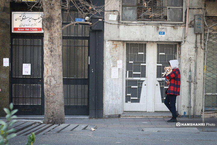 سهروردی جنوبی