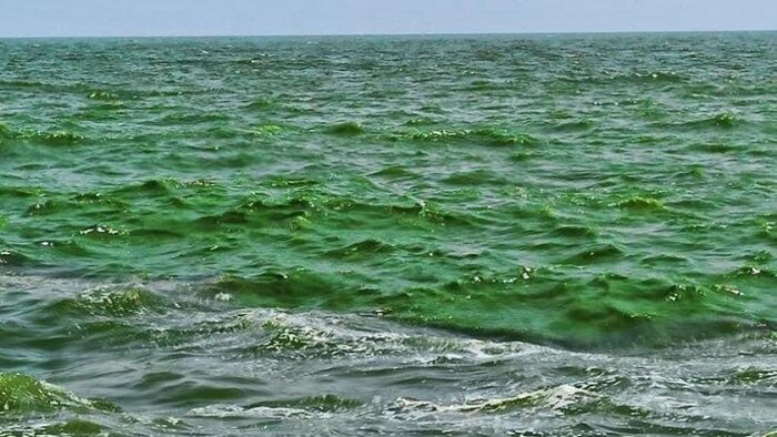 چرا رنگ آب در مکانهای مختلف از جهان تفاوت دارد؟