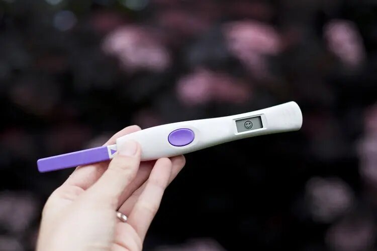 ovulation